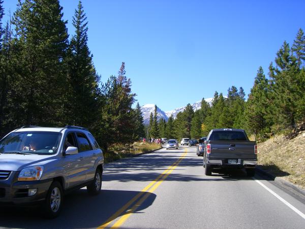 Pics 009