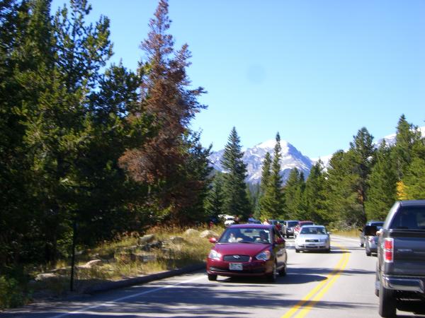 Pics 010