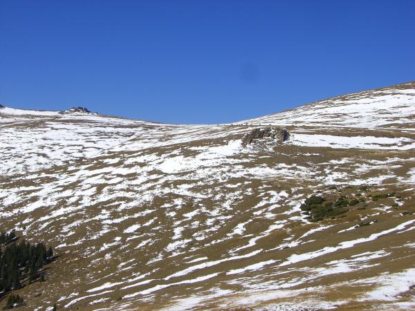 Pics 039