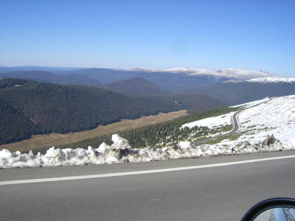Pics 081