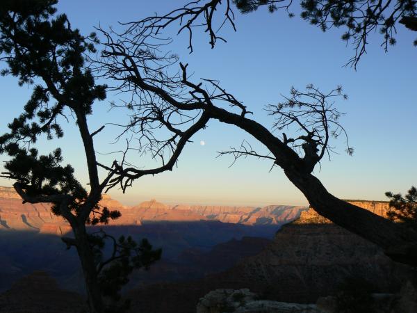 South rim