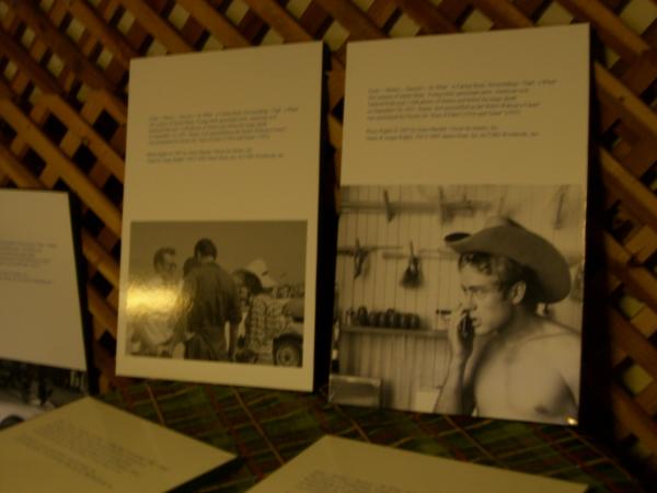 Pics 062