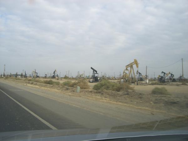 Pics 072