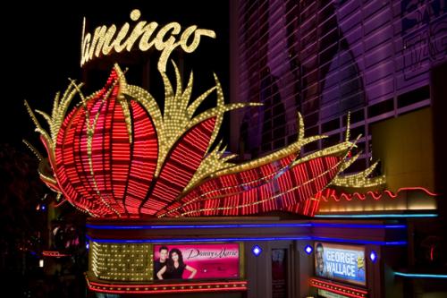 Flamingo Las Vegas. Hand held shot.