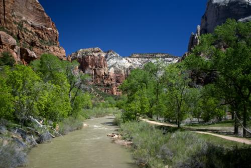 Zion National  Park