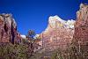 ZION NATIONAL PARK