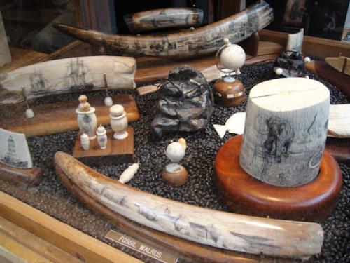 Laguna   Scrimshaw