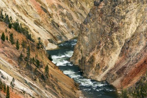 Yellowstone