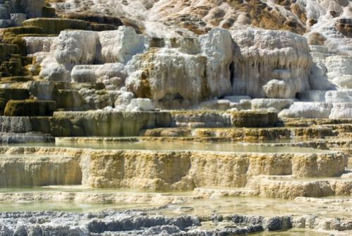 Yellowstone 5