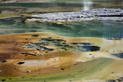 Yellowstone 7