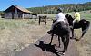 Kendrick Cabin with Horses