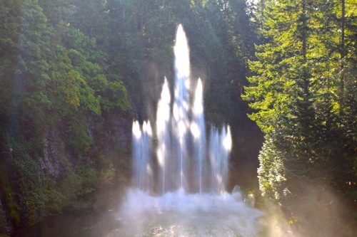 The Ross Fountain does its thing at Butchart Gardens in BC, Canada