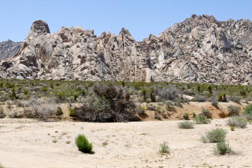 The rocky mountains of Mojave National Preserve bid us adieu to another great road trip.
