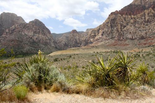 The mountains to the west provided spectacular scenery at Red Rock Canyon NCA.