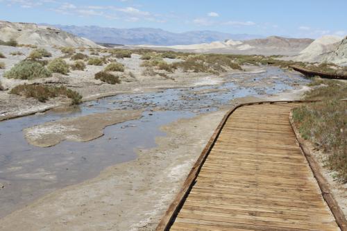Tbe boardwalk along the Salt Creek Interpretive Trail in Death Valley National Park allow you to see the pup fish swimming about.
