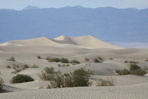 In the distance, Mesquite Sand Dunes can be found in Death Valley NP. You can also hike to the top of them if you're feeling adventurous.