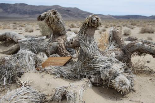 Even wooden plaques were made and left by the U2 Joshua Tree.