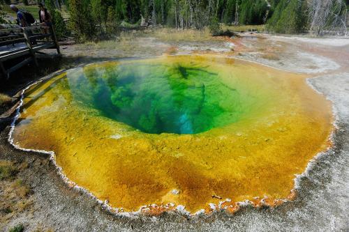 MorningGloryPoolYNP