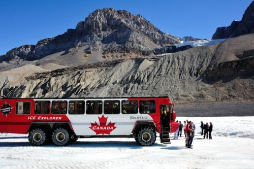Icefields Bus