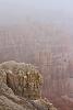 The flurries increased to the point where Bryce Canyon looked almost fogged over (from Sunset Point).