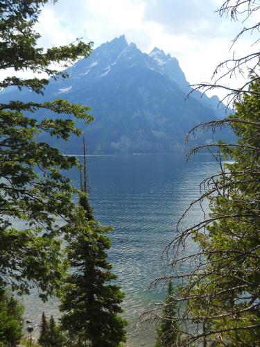 42   Tetons up close