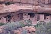 Mesa Verde
