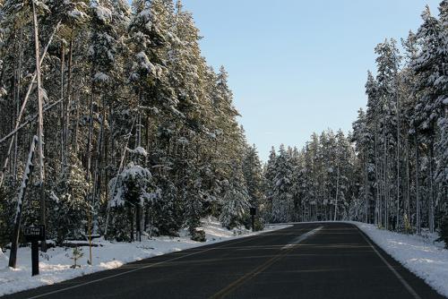 35. Winter Wonderland