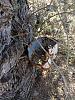 Hole in th bucket 
Alamo Canyon trail 
Organ Pipe Cactus NM