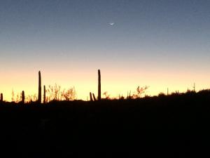 Sunset at Organ Pipe Cactus NM