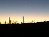 Sunset at Organ Pipe Cactus NM