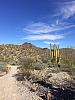 Clouds 
Organ Pipe Cactus NM