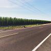 Hops fields outside of Champeog State Park, OR
