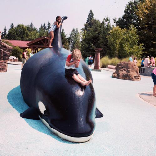 Belleview, WA water park