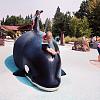 Belleview, WA water park