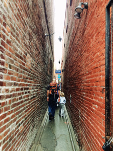 Fan Tan Alley, Victoria BC