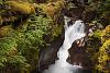 Avalanche Creek hike, Glacier NP
