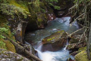 Avalanche Creek hike, Glacier NP
