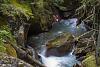 Avalanche Creek hike, Glacier NP