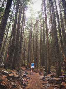 Avalanche Creek hike, Glacier NP