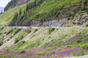 Going to the Sun Road, Glacier NP