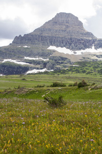 Logan Pass, Going to the Sun Road, Glacier NP
The weather started to turn so we decided against hiking