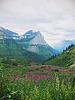 Going to the Sun Road, Glacier NP