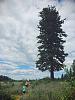 McGee Meadows hike, Polebridge, Glacier NP