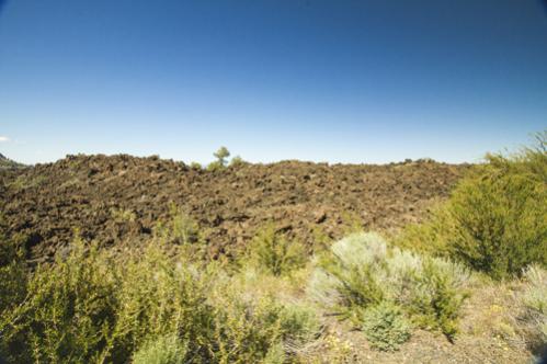 Tops of lava tubes along the road in Lava Beds NM