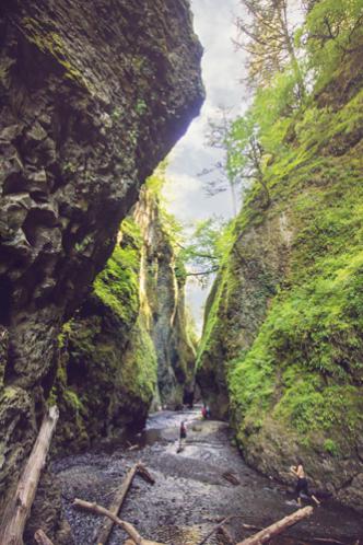 Oneonta Gorge, Historic Columbia River Highway, OR