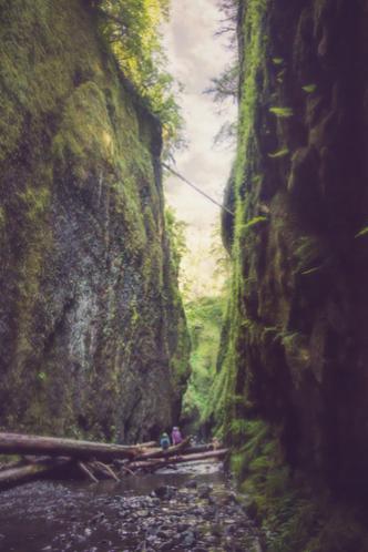 Oneonta Gorge, Historic Columbia River Highway, OR