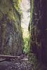 Oneonta Gorge, Historic Columbia River Highway, OR