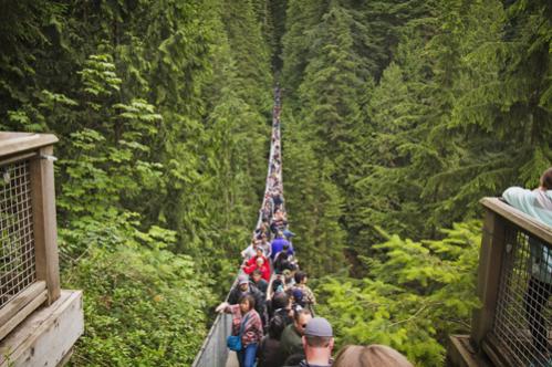 Capilano Suspension Bridge Park, Vancouver BC
A free shuttle will take you there from the waterfront