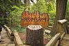 Capilano Suspension Bridge Park, Vancouver BC