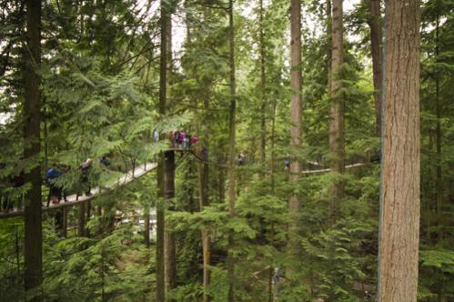 Capilano Suspension Bridge Park, Vancouver BC